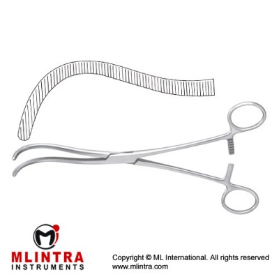 Guyon Kidney Pedicle Clamp Curved Stainless Steel, 19.5 cm - 7 3/4" Guyon Kidney Pedicle Clamp Curved Stainless Steel, 19.5 cm - 7 3/4"